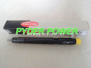China INJETOR DELPHI 28231014 para o Hover da Grande Muralha H6 1100100-ED01 fornecedor