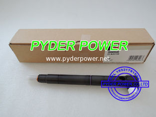 China Delphi Injetor 28264951 /28489548 fornecedor