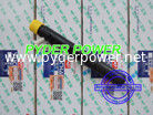 China INJETOR DELPHI EJBR06101D YUCHAI FB300-1112100-011 fornecedor