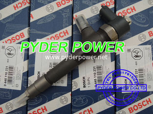 China Bosch Injector 0445110231 Chevrolet 93342272 MWM-Diesel 940704640034 VW 2P0130201 fornecedor