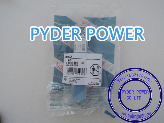 China Grupo de válvulas BOSCH F00RJ02506 fornecedor