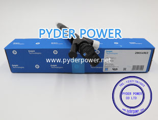 China Delphi Injetor 28654963 Volkswagen 04L130277bg fornecedor