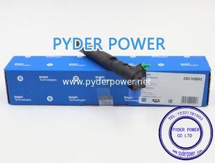 China INJETOR DELPHI 28230891 MERCEDES BENZ A6510701387 fornecedor