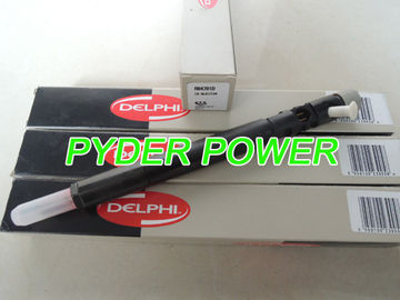 INJETOR DELPHI EJBR04701D R04701D A6640170221 1795FE25W19 6640170221 fornecedor