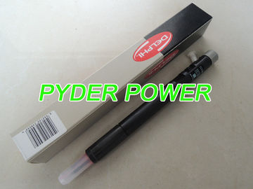 INJETOR DELPHI EJBR04701D R04701D A6640170221 1795FE25W19 6640170221 fornecedor