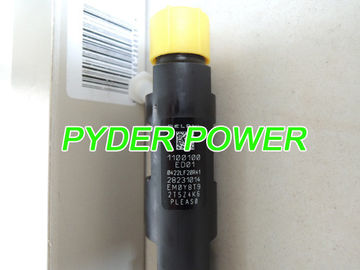 INJETOR DELPHI 28231014 para o Hover da Grande Muralha H6 1100100-ED01 fornecedor